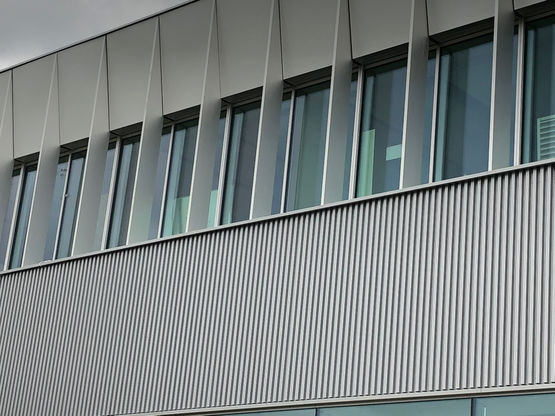  Nervure trapézoïdale | Moorea 50 - TOLARTOIS