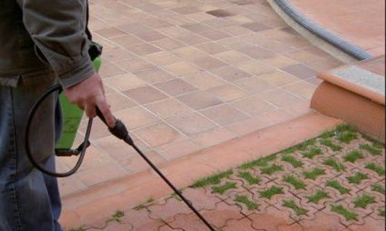  Nettoyant régulier pour extérieurs | Cleanjardin - NEP52001003-000 - RAIRIES MONTRIEUX