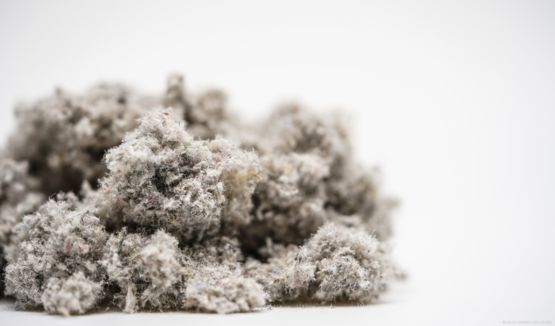 Ouate de cellulose en vrac par soufflage ou insufflation | Igloo France - produit présenté par IGLOO FRANCE CELLULOSE