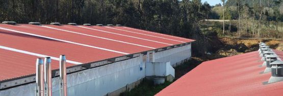  Panneau métallique autoportant pour les toitures de fermes | AGROROOF G5 - CASTORMAT