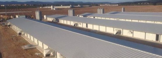  Panneau métallique pour les toitures des élevages zootechniques | AGROROOF G3 - CASTORMAT