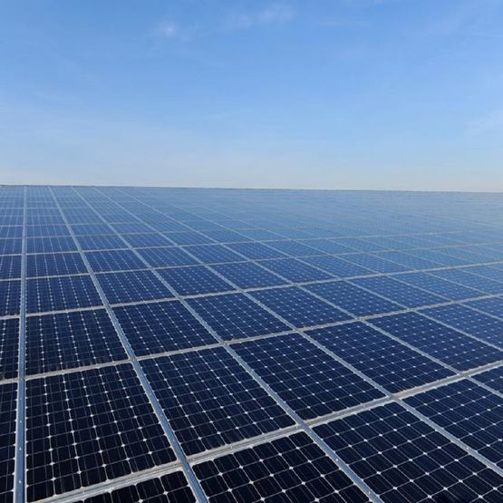Panneau photovoltaïque pour grandes centrales solaires au sol | Tarka 72 VSMS – VSPS