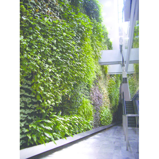 Panneau vertical pour végétalisation en façade | Wallflore Per