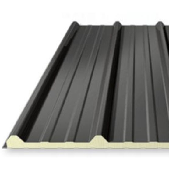 Panneaux Sandwich isolants pour toits inclinés | Modèle Eco