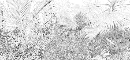 Papier peint au dessin d’une forêt tropicale au crayon pour décoration murale - INCRÉATION