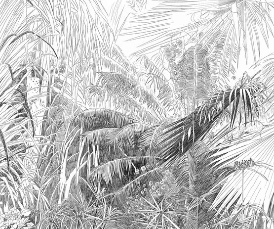 Papier peint au dessin d’une forêt tropicale au crayon pour décoration murale - Papiers peints et papiers peints vinyles