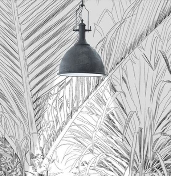 Papier peint au dessin d’une forêt tropicale au crayon pour décoration murale - produit présenté par INCRÉATION