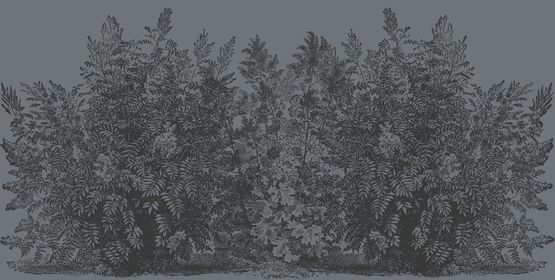  Papier peint panoramique Buisson gris foncé  - INCRÉATION