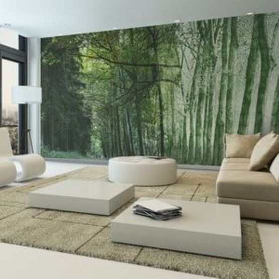 Papier peint panoramique Forêt | D220D