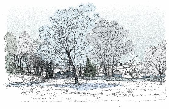  Papier peint panoramique Paysage Arbre en Hiver - D257_C - INCRÉATION