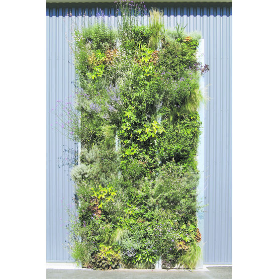Paroi verticale végétalisée pour façade ou de séparation | Jardin Vertical