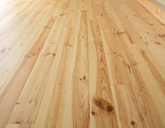 Parquet en pin maritime à revêtement purifiant l'air intérieur | Parquet Pin maritime PureHome - Parquets massifs en autre essence