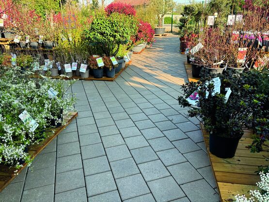 Pavé drainant avec écarteur de 5 mm | Hydrojoint 5