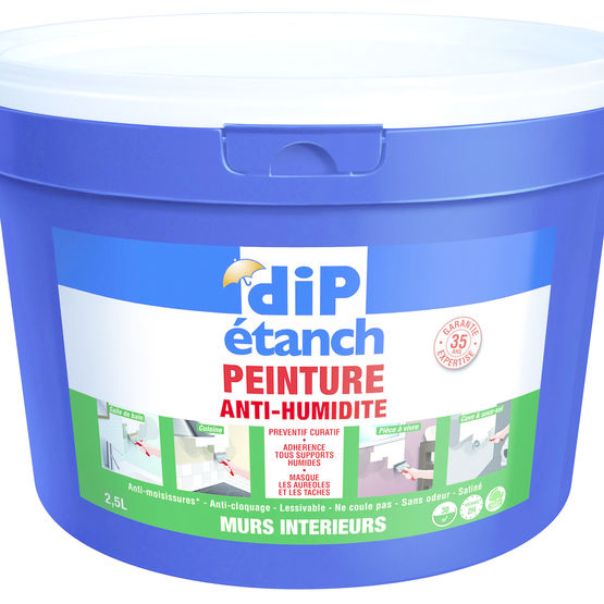 Peinture Anti-Humidité