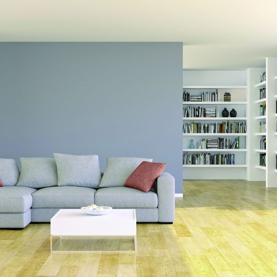 Peinture applicable sans primaire sur tout support | Evolutex 2en1 - PPG (SEIGNEURIE, RIPOLIN)