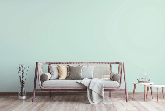 Peinture biosourcée à base d'huile végétale et de résidus agroalimentaires | Bioalkyd