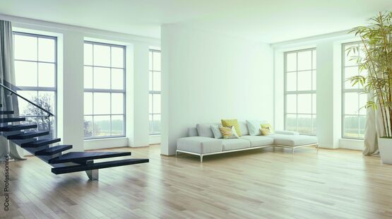 Peinture de finition blanche à haut pouvoir couvrant sur chantier exigeants | Cecil pro PE 55