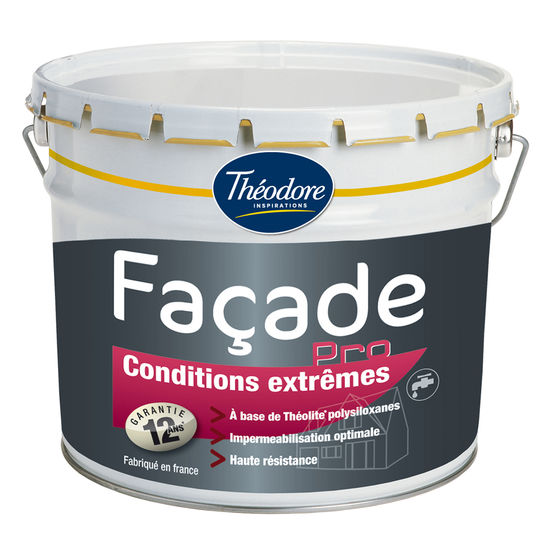 Peinture décorative pour façade faïencées et microfissurées | Façade Pro