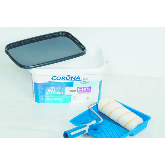 Peinture De Finition Pour Plafond Mat Express Corona Bâtiment