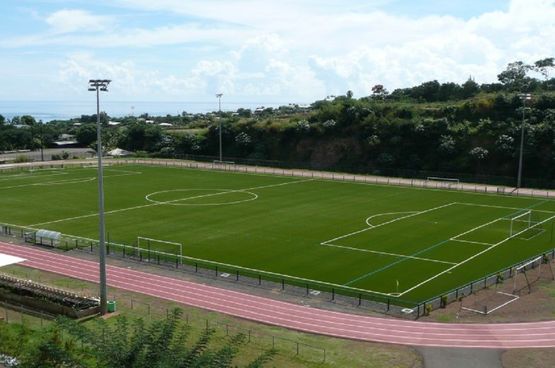 Pelouse synthétique pour piste d'athlétisme | Sandy Turf 28 PE - REGESPORTS