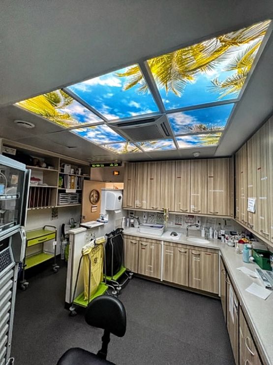 Plafond lumineux décoratif | LIGHTMANN - Plafonniers