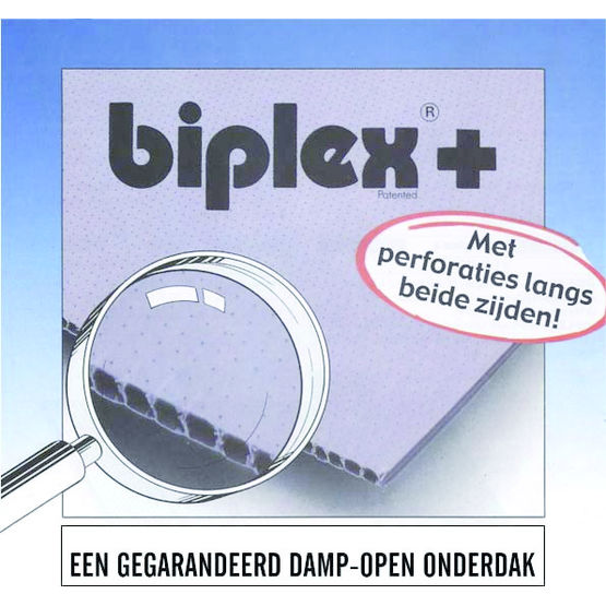 Biplex