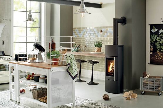 Poêle à bois en fonte | Delta Plus  - produit présenté par BEST FIRES