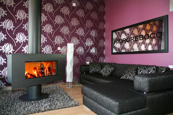  Poêle à bois simple face avec un pied | Venus 850 HT - BEST FIRES