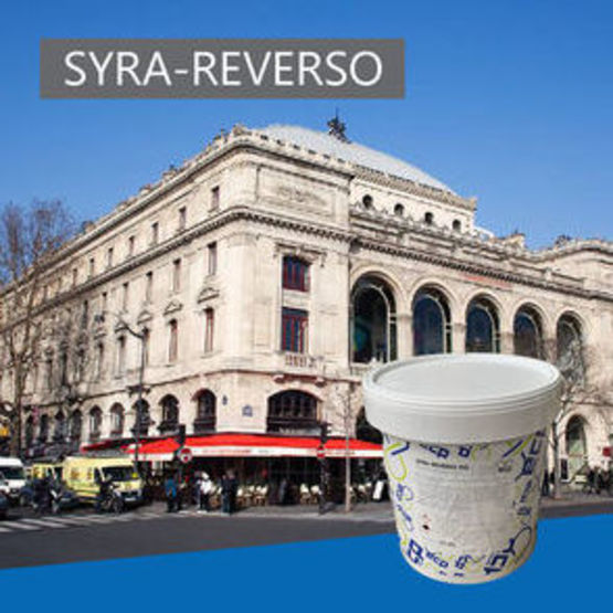 Polymère désincrustant à propriétés séquestrantes | Syra-Reverso