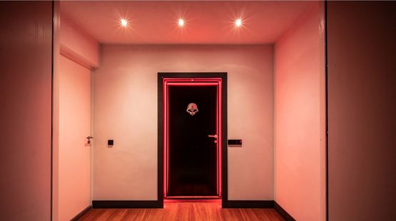  Porte acoustique battante | RS9 - Porte de service métallique