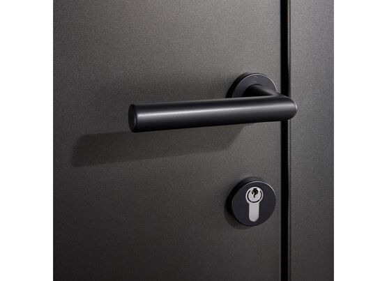  Porte d'entrée Alexi-Anne en aluminium | LAPEYRE SERVICES - Porte d'entrée en aluminium