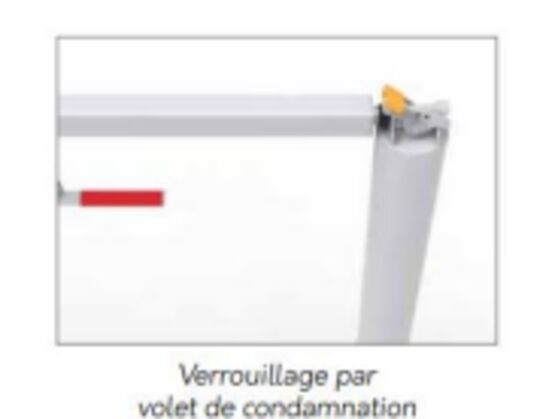  Portique pivotant | Portique à volet de condamnation en acier pour contrôle d'accès - Barrières de sécurité mobiles manuelles ou automatiques