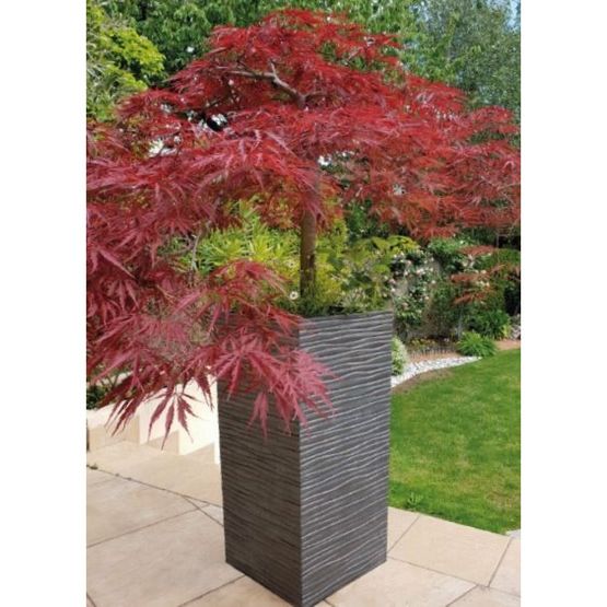  Pot de jardin hauteur 66cm SERENA | PRGOMPF307 - RIBIMEX