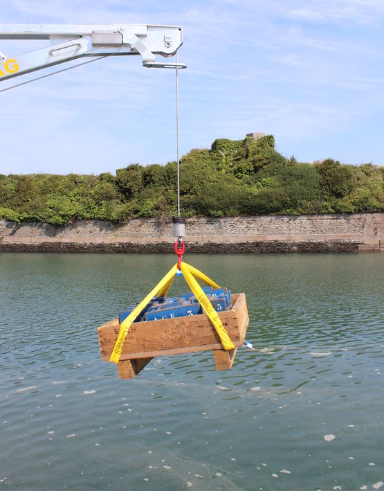 Potence électrique de quai en acier traité et galvanisé traction maxi 250 Kg | Type UW1