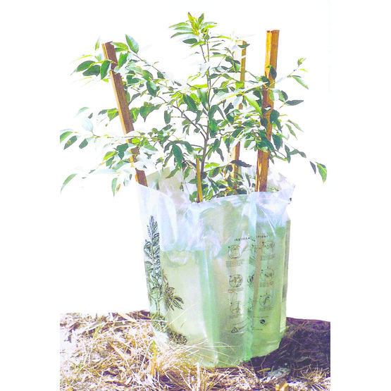 Protection auto-arrosante pour jeune plant | Water Tube