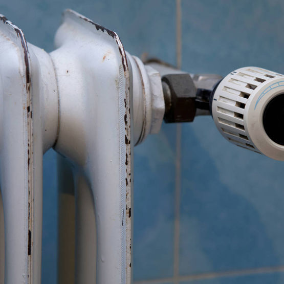 Puissant détartrant | CADENTIA DÉCALCAIRISANT - produit présenté par CADENTIA