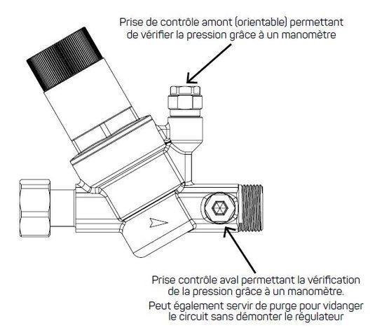 Réducteur de pression 2-en-1 Secupro, avec clapet antipollution NF intégré et manomètre fourni | PRONORM  - produit présenté par AYOR