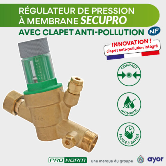 Réducteur de pression à cartouche avec clapet anti-pollution NF