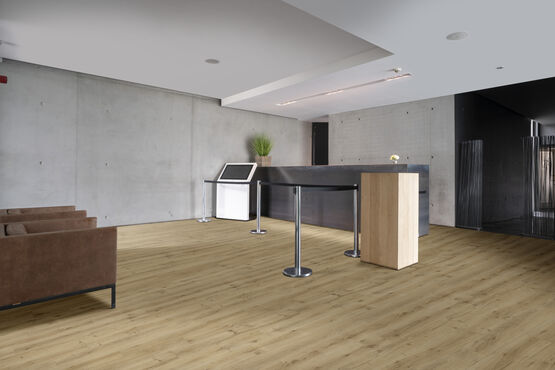  Revêtement de sol en Vinyle pour usage modéré à intensif | Polaris - BEAUFLOR