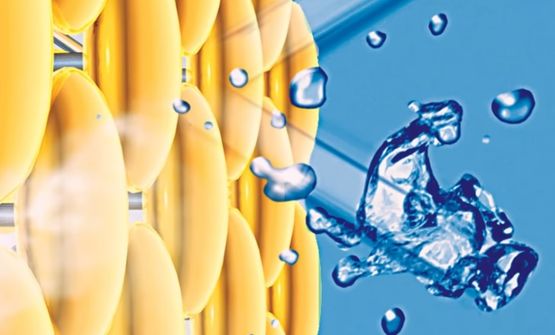 Revêtements d&#039;imperméabilisation de façade à base de résines siloxanes | Irtop S - produit présenté par STO