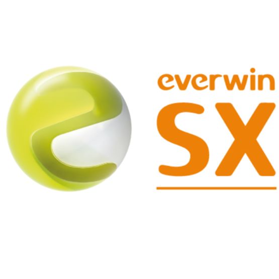 Solution ERP pour les besoins en logiciel de gestion d’affaires | EVERWIN SX