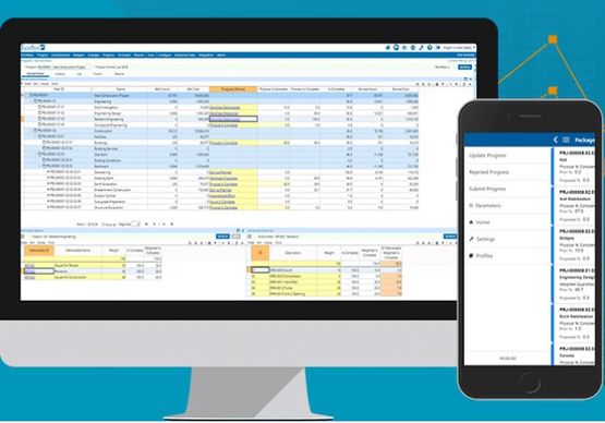 Solution logicielle de gestion de portefeuilles de projets | EcoSys - Logiciel de gestion globale