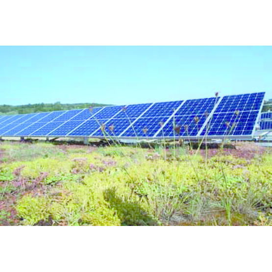 Supports de panneaux solaires combinés à une toiture végétalisée | Base solaire Zinco