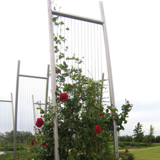 Support de plante grimpante en forme de balise