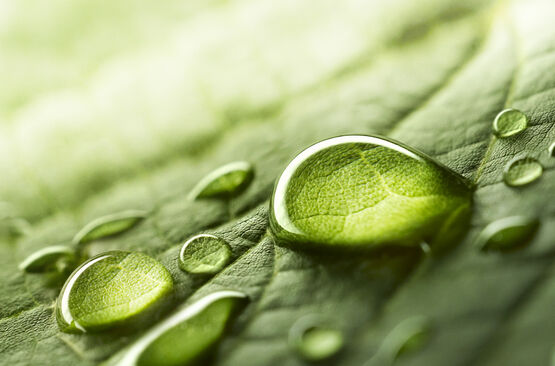 SANTE - ENVIRONNEMENT