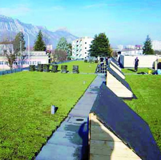 Système d&#039;étanchéité pour toitures-terrasses végétalisées | IKO DUO GREEN