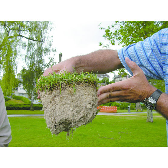 Système de renforcement par fibres des gazons naturels | Fibergrass