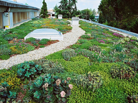  Système végétalisé pour toiture-terrasse et jardin suspendu | Iglu&#039;® Green Roof - DALIFORM GROUP
