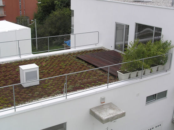 Système végétalisé pour toiture-terrasse et jardin suspendu | Iglu&#039;® Green Roof - produit présenté par DALIFORM GROUP