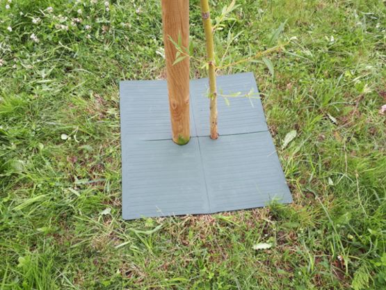  Tapis anti-végétation SIXBOX - ACCÈS DIRECT